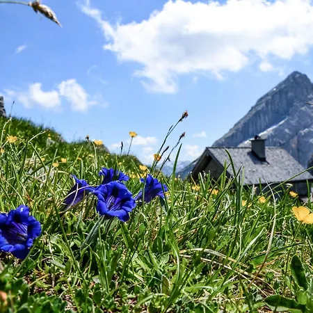 Eder Eder's Watzmannblick Apartment Bischofswiesen
