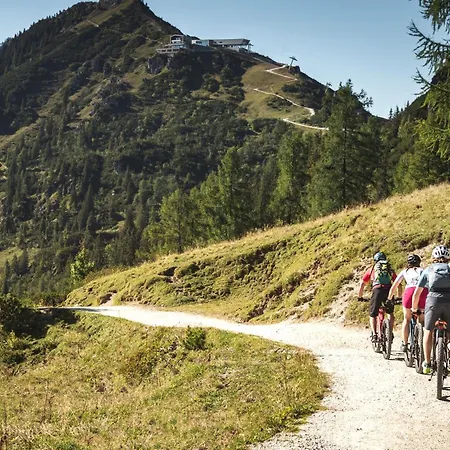 Eder Eder's Watzmannblick 公寓 比绍夫斯维森